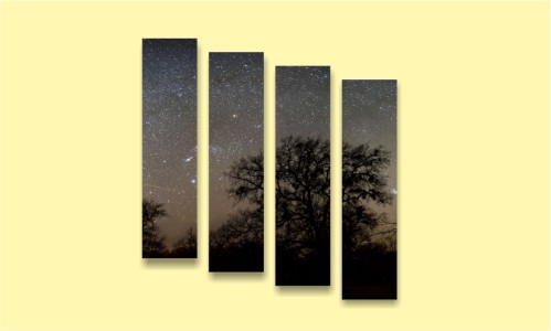 звезды ночь деревья